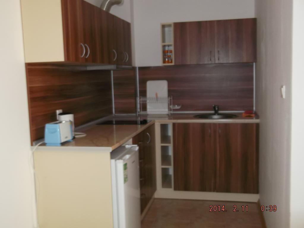 צרבו Dima Popova Apartments חדר תמונה