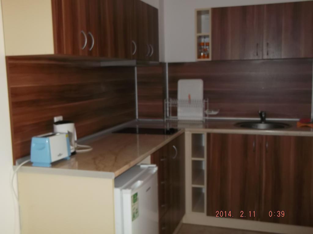 צרבו Dima Popova Apartments חדר תמונה